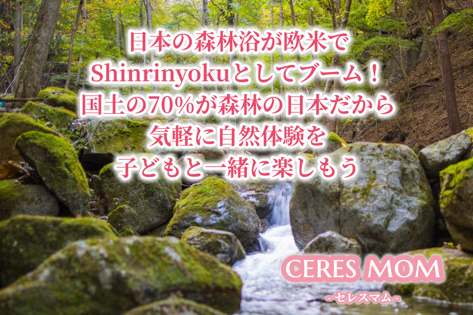 日本の森林浴が欧米でShinrinyokuとしてブーム！国土の70％が森林の日本だから気軽に自然体験を子どもと一緒に楽しもう