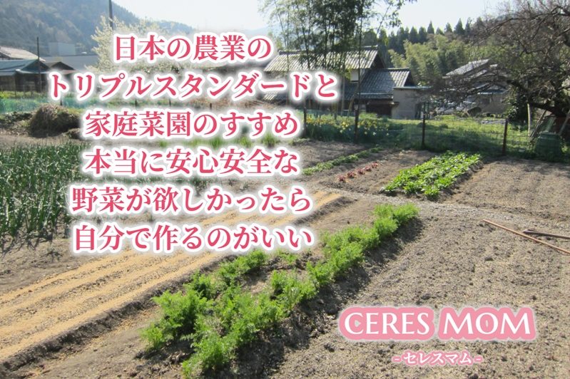 日本の農業のトリプルスタンダードと家庭菜園のすすめ 本当に安心安全な野菜が欲しかったら自分で作るのがいい
