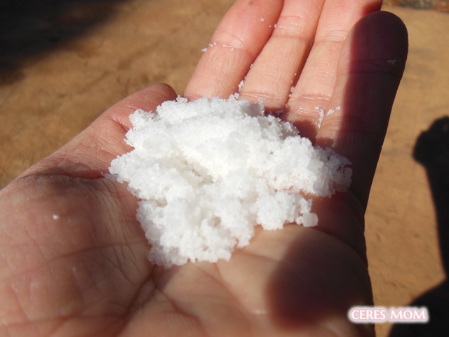 天然塩を農業に使う
