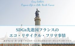 SDGs先進国フランスのエコ・リサイクル・フリマ事情[フランス、リール]